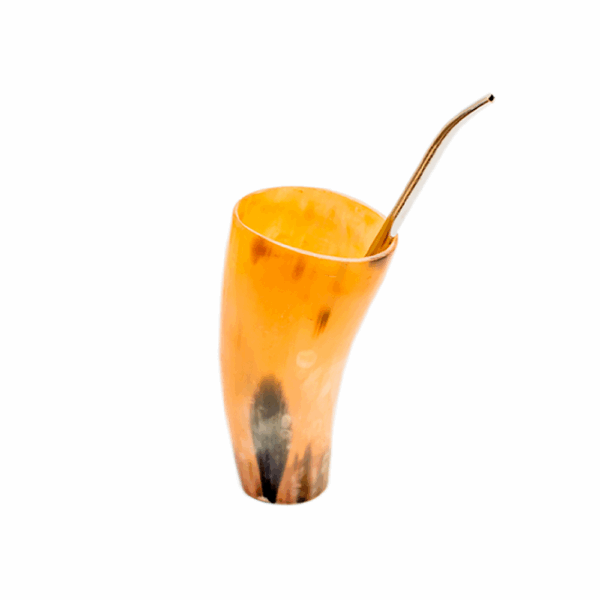 Kit guampa e bomba lisa para tereré